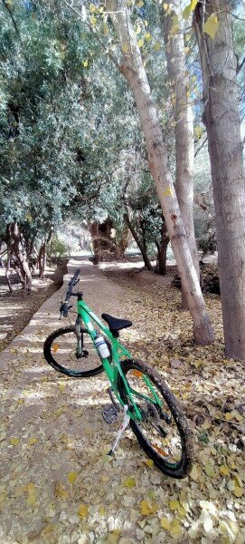 Rent a bike in Tinghir image