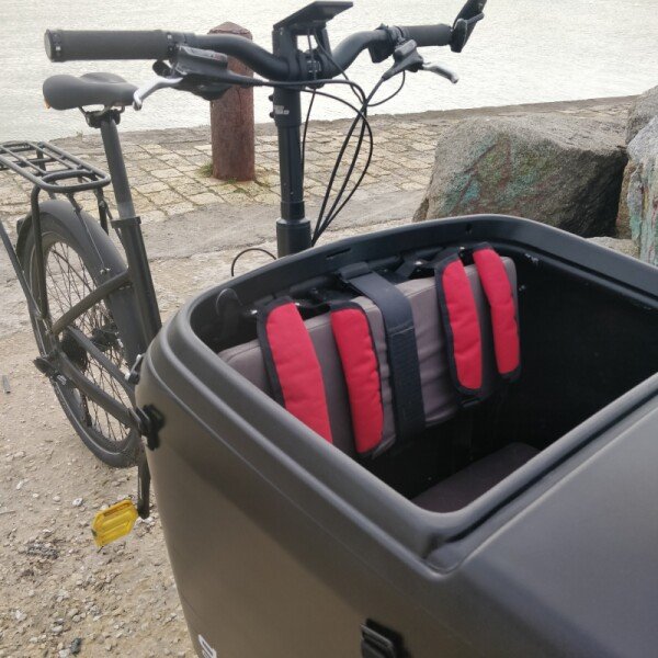 Douze G4 Traveler image