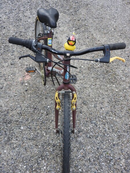 VTT loisirs mixte 20 pouces marron image