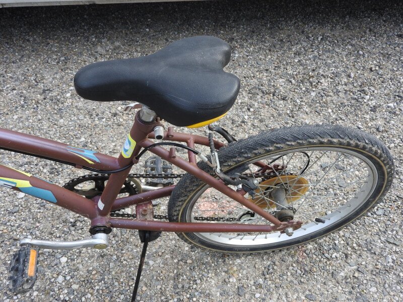 VTT loisirs mixte 20 pouces marron image