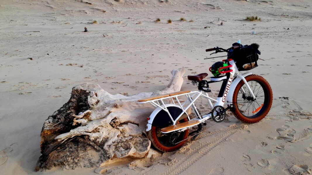 Cargo longtail fatbike image