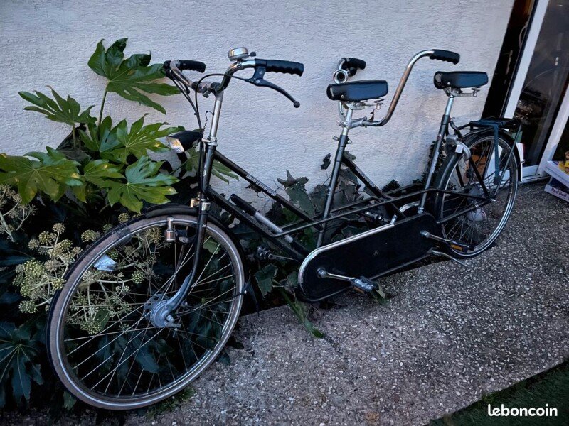 Vélo Tandem pour Adulte. Prix indiqué est pour 1/2 journée (20€ la demi-journée). image