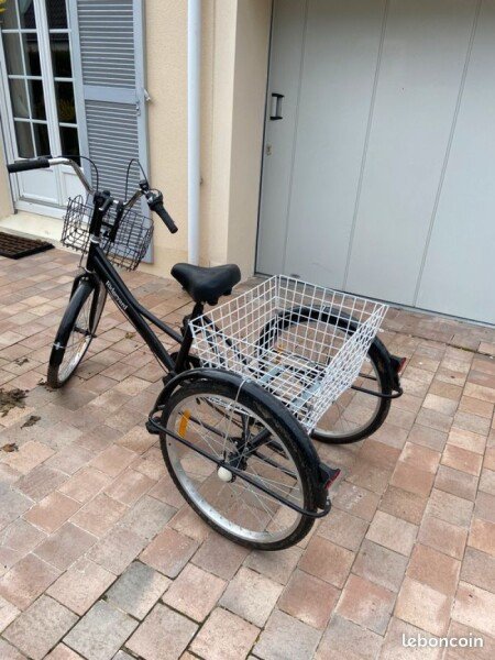 Tricycle pour handicapé avec 7 vitesses. Prix indiqué est pour 1/2 journée (15€ pour la demi-journée). image