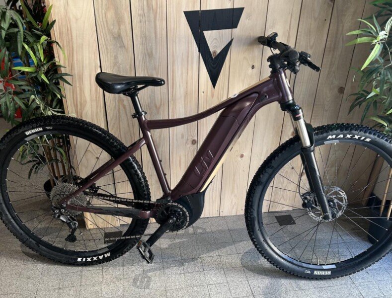 VTT électrique giant/liv image