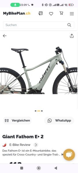 E bike Mountainbike image