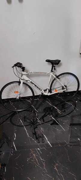 Votre Nouvelle Compagne d'Aventure speego image