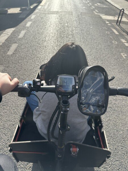 Packster 80 Riese and Muller image