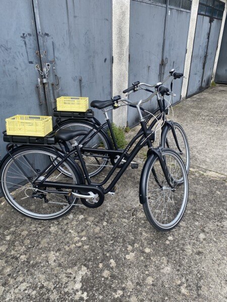 Vélo électrique à batterie amovible - modèle Elops 120e image