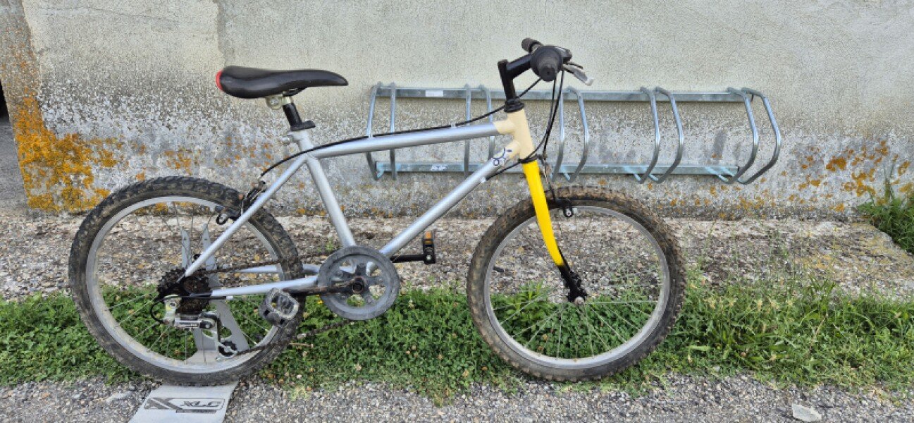 VTT loisirs mixte 20 pouces tricolore image