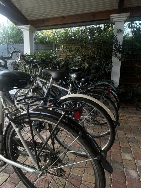 Location vélos de tout types et pour tout âges image