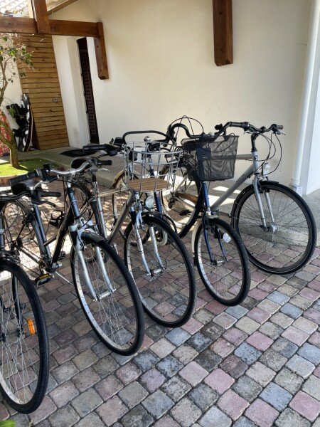 Location vélos de tout types et pour tout âges image