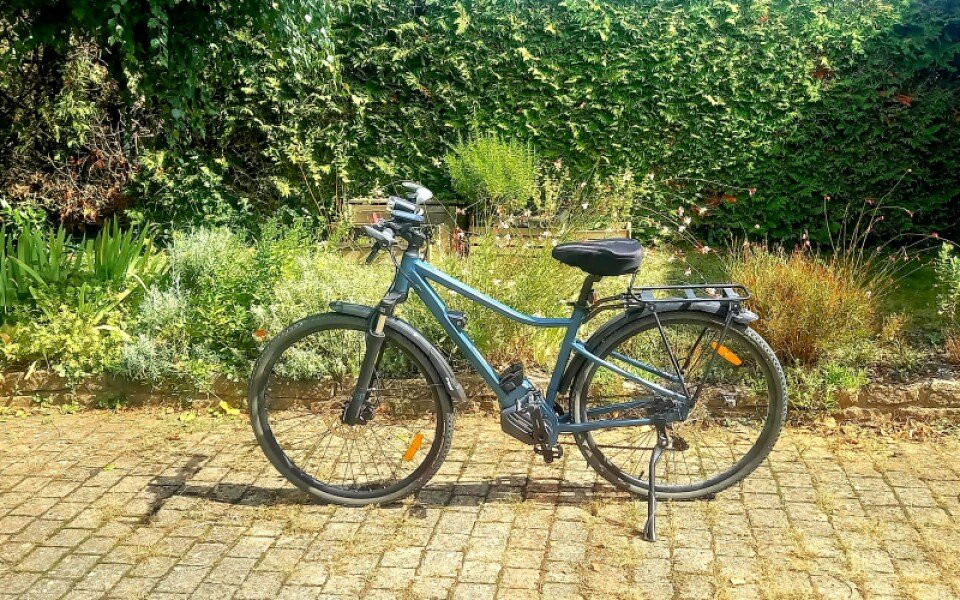 VTC électrique riverside 540 taille S image