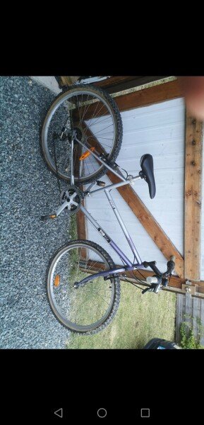 Location de vélos adultes et enfants image