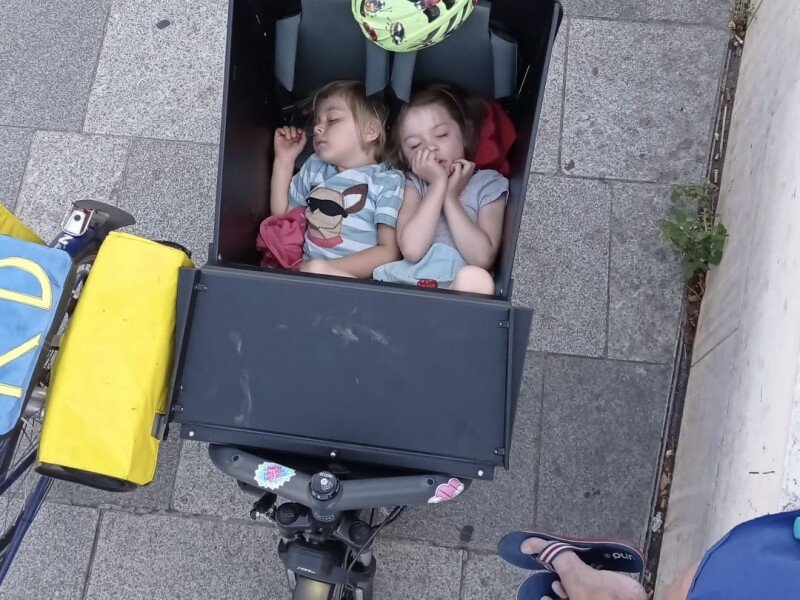 Rent a cargo bike in Paris Urban Arrow BAKFIETS GAZELLE MAKKI LOAD 75 Packster 80 image