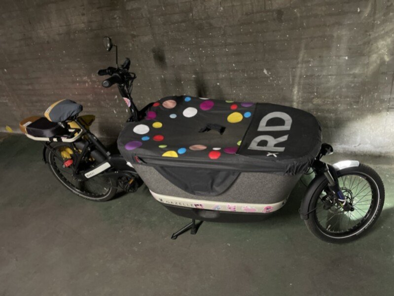 Rent a cargo bike in Paris Urban Arrow BAKFIETS GAZELLE MAKKI LOAD 75 Packster 80 image