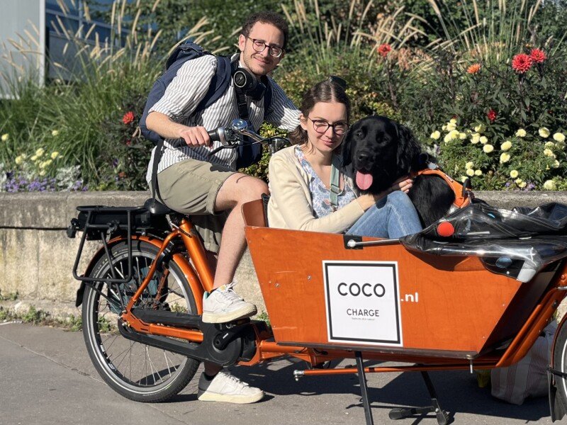 Vélo cargo chien image