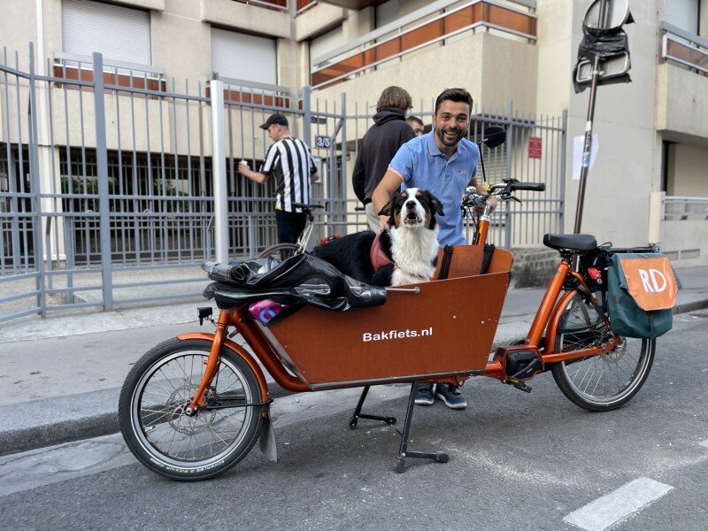 Vélo cargo chien image