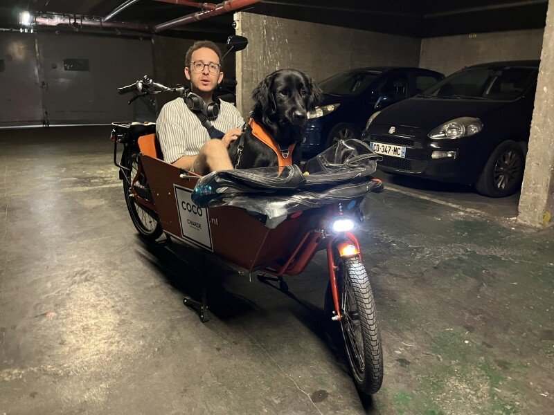 Vélo cargo chien image