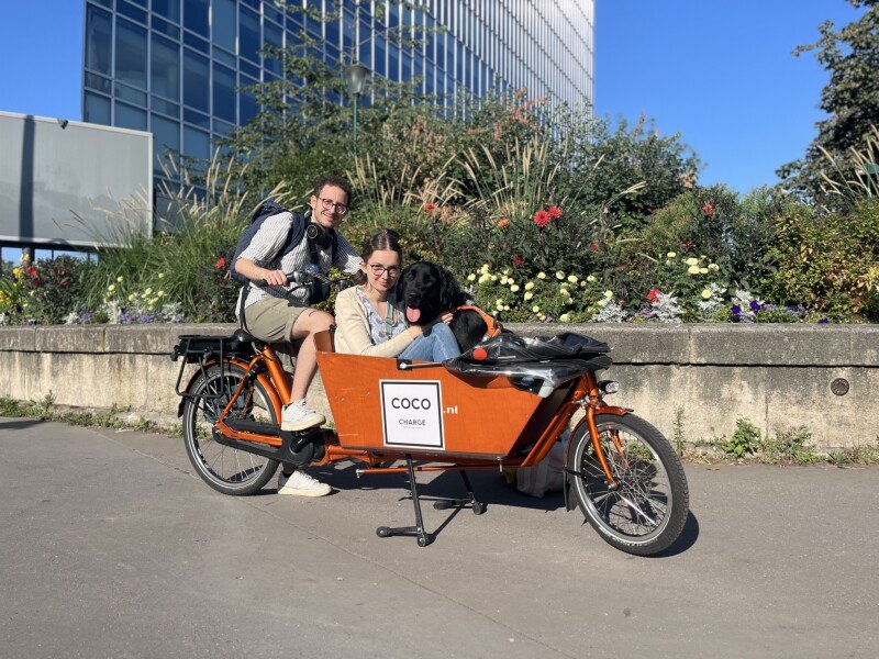 Vélo cargo chien image