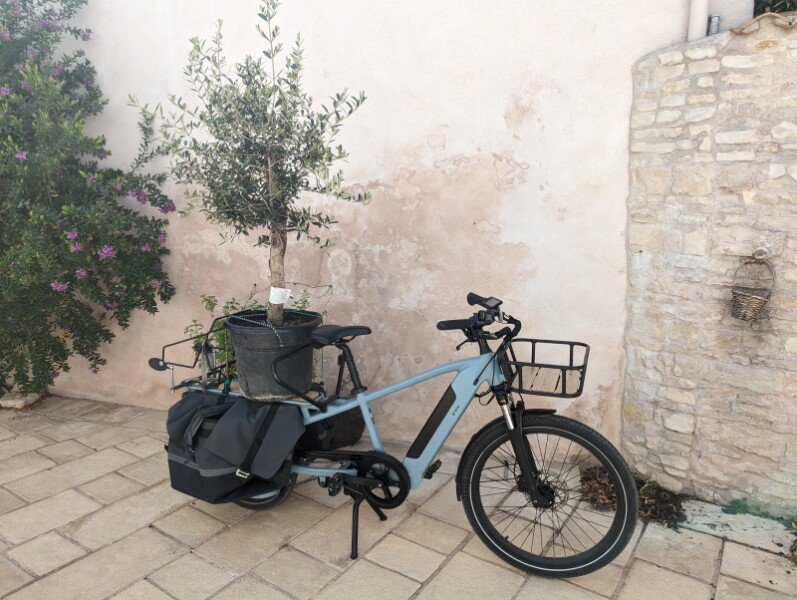 🚲 Longtail électrique Decathlon R500 disponible à la location 🚲 image