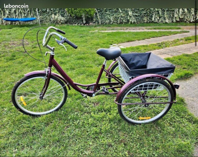 Tricycle pour handicapée sans vitesse, Prix indiqué est pour 1/2 journée (12€ pour la demi-journée). image