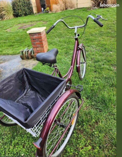 Tricycle pour handicapée sans vitesse, Prix indiqué est pour 1/2 journée (12€ pour la demi-journée). image