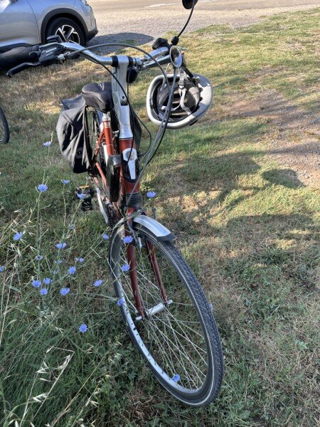 Vélo électrique hollandais image