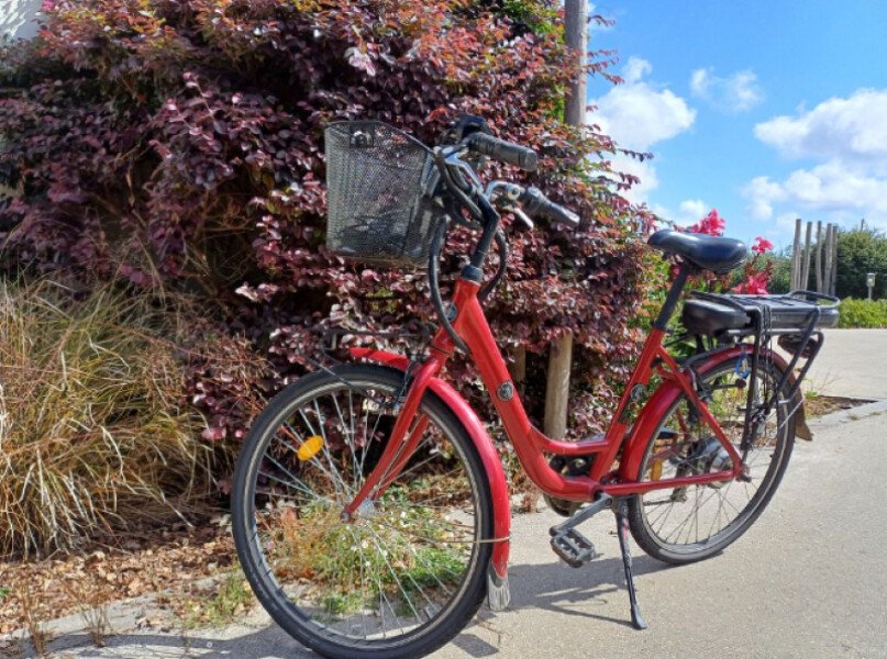 Vélo électrique mixte image