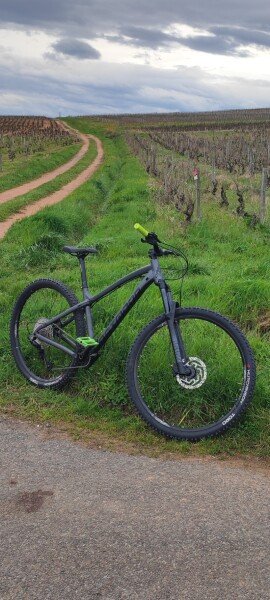 VTT Dartmoor Primal 29' image