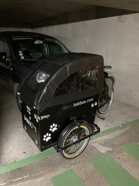 Vélo Cargo Triporteur chien ou enfant une banquette image