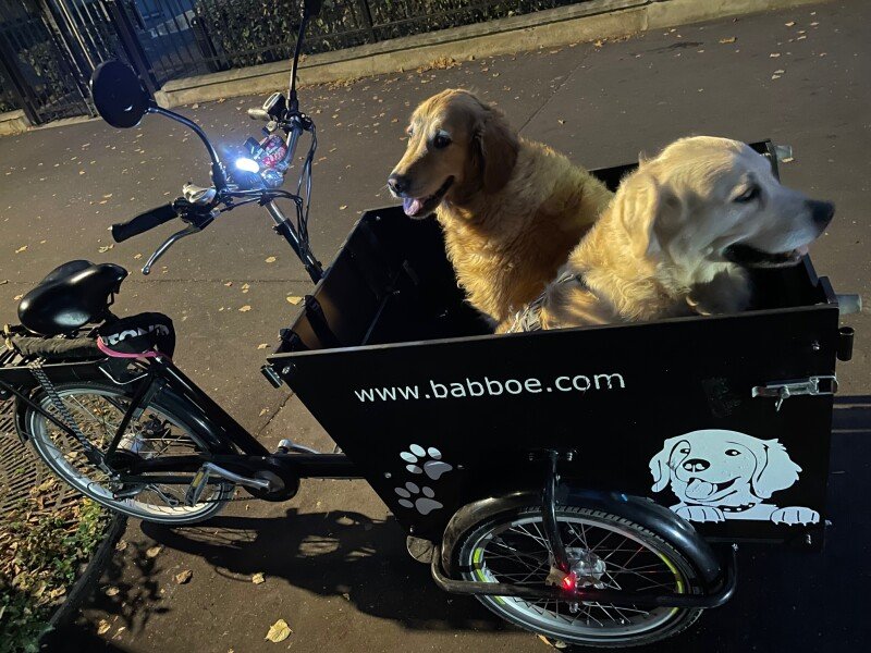 Vélo Cargo Triporteur chien ou enfant une banquette image