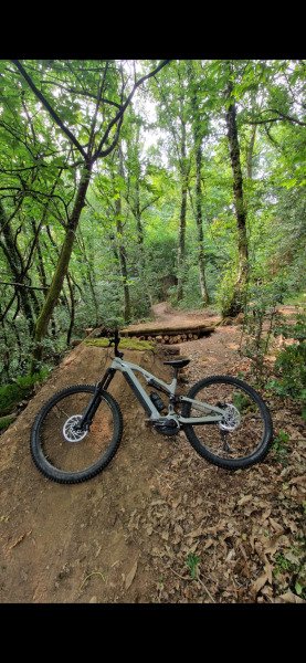 VTT rockrider e feel 700 image