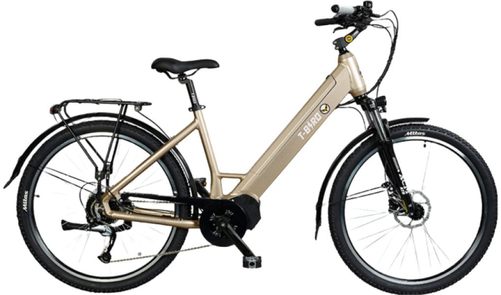 vtc T bird golden gate image