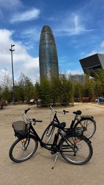 Alquiler de bicicletas de ciudad - fácil y práctico image