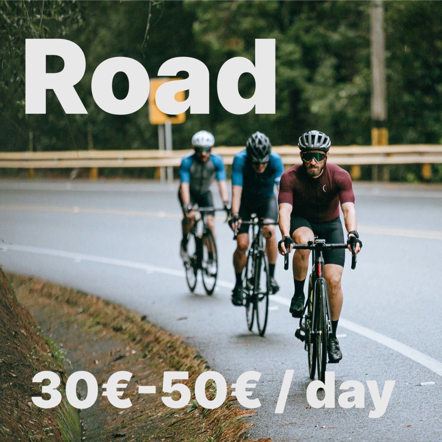 Road bike rental