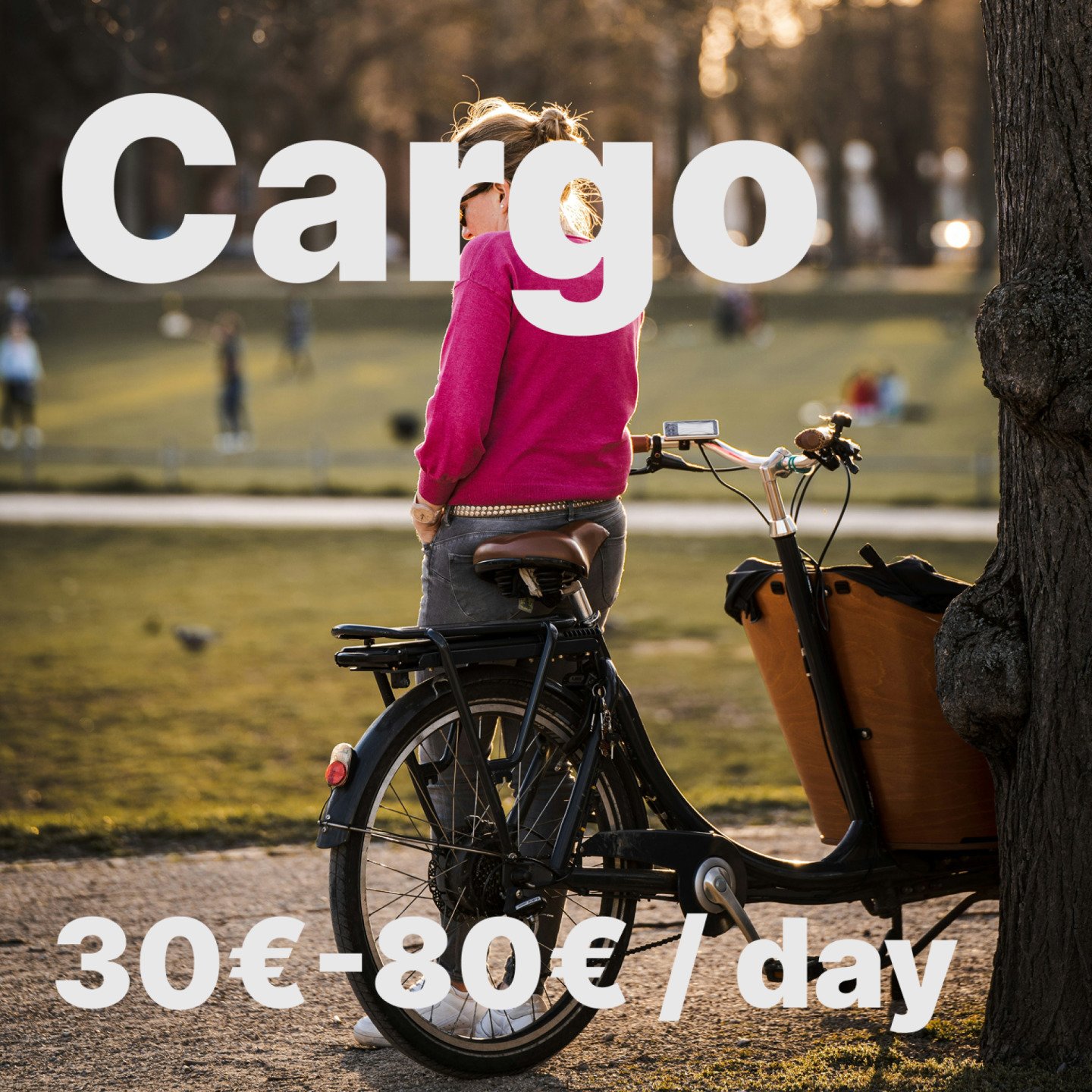 Cargo bike rental