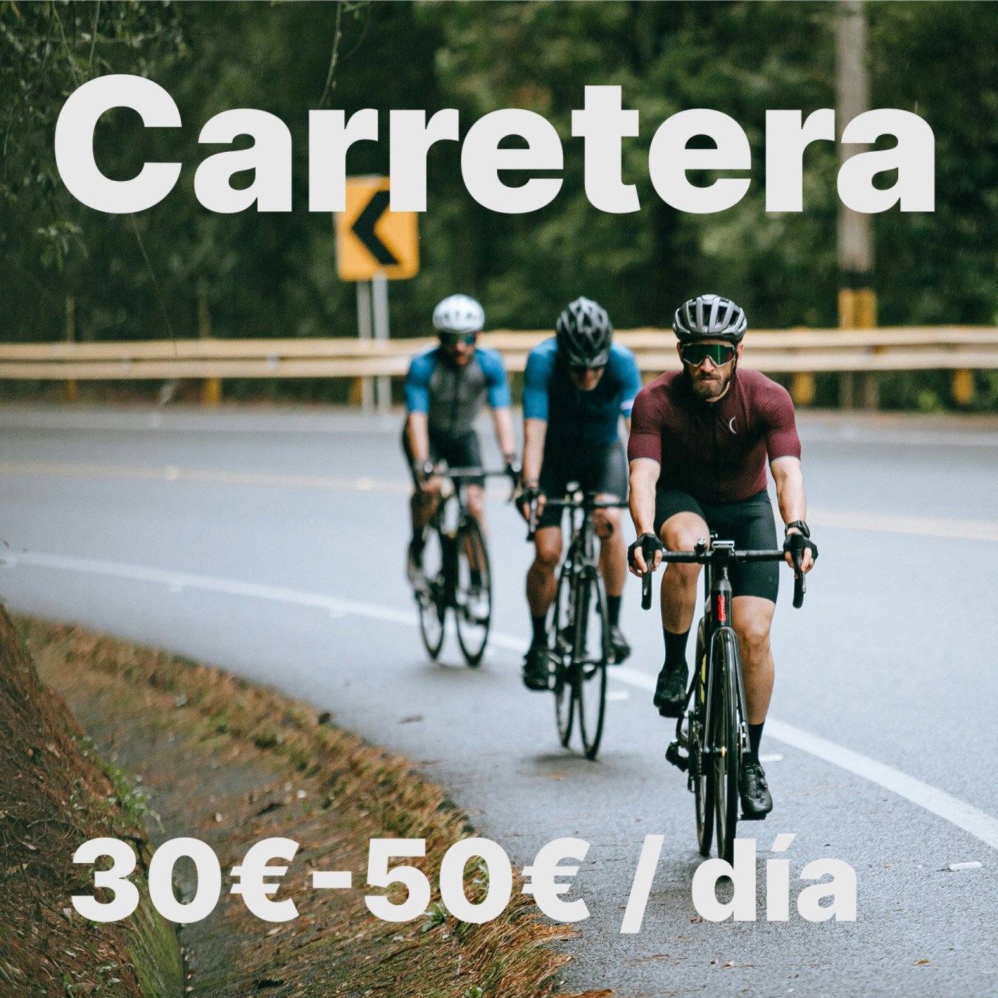 Alquiler bicicleta de carretera