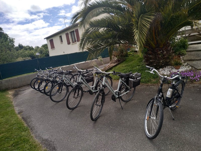 vélo trekking et randonnée taille M image