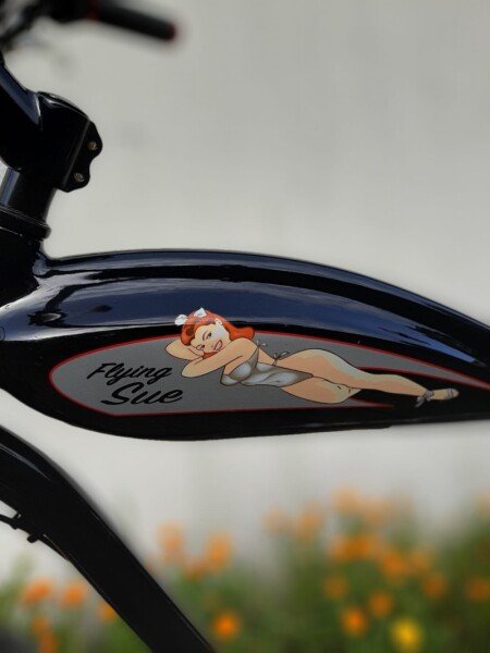 Beach Bike Cruiser Custom Electra image