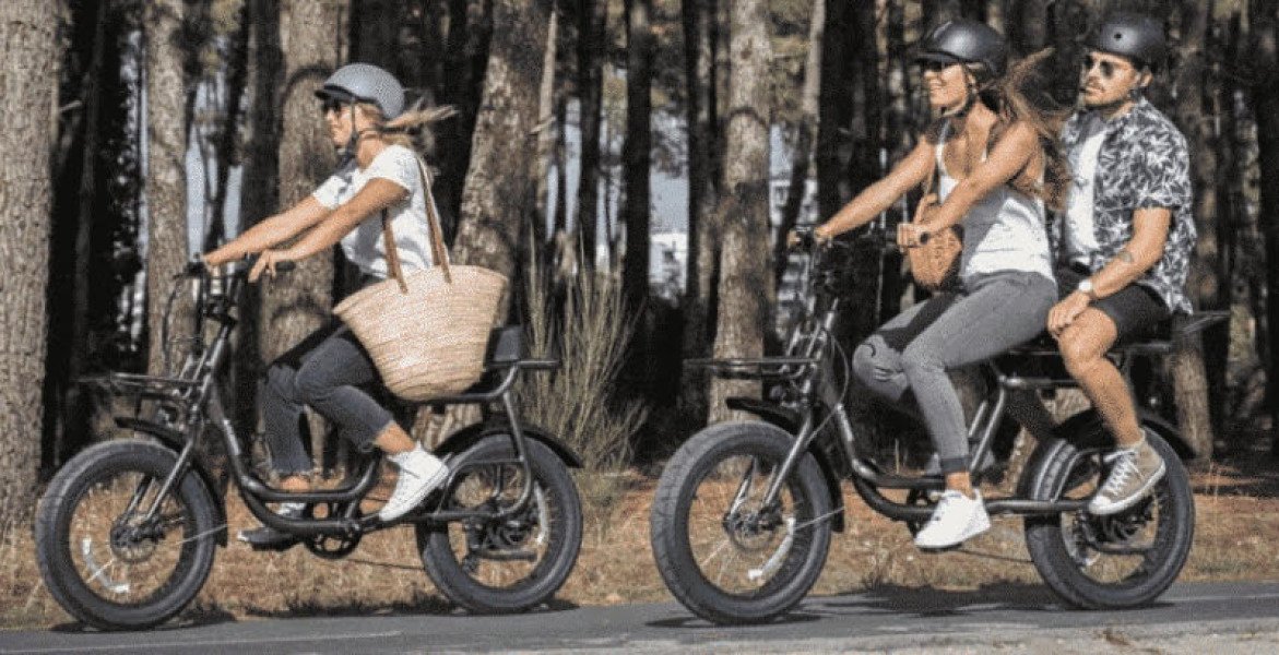 Vélos cargos & longtails Elwing - Yuvy 2 image