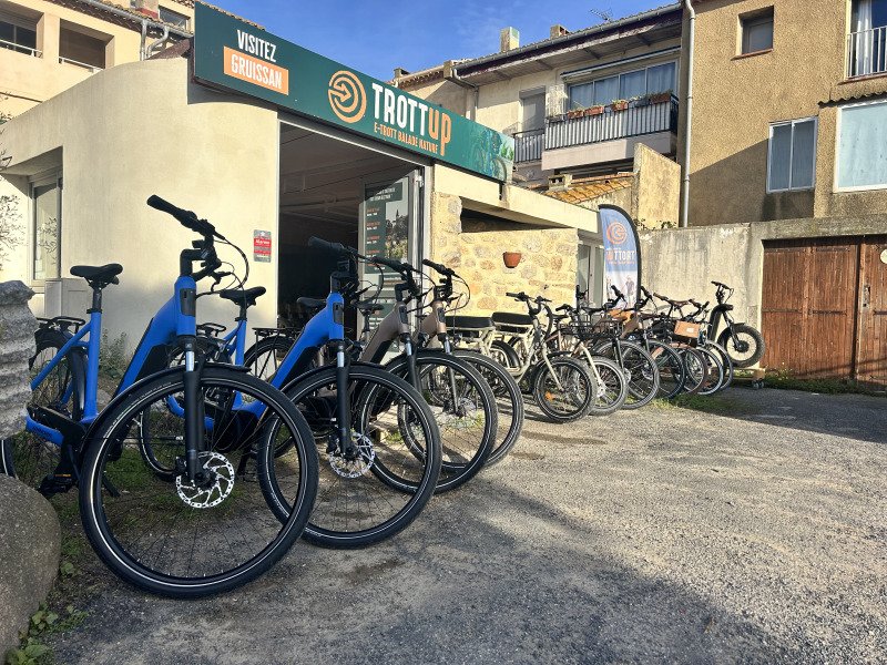 Loue VTC Haut de Gamme Winora (Maison lapierre) grande autonomie image