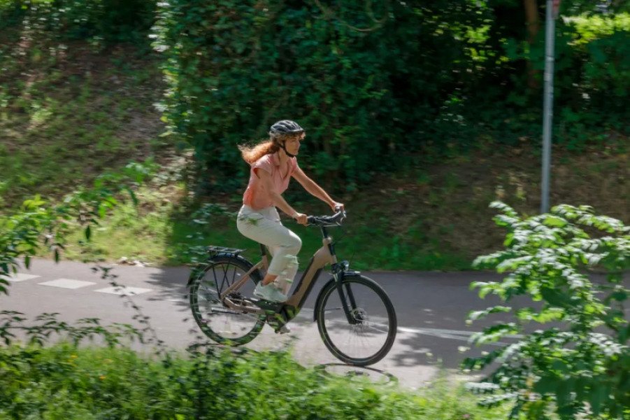 Loue VTC Haut de Gamme Winora (Maison lapierre) grande autonomie image