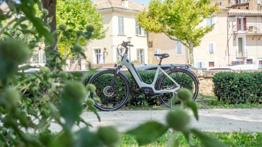 Loue VTC Haut de Gamme Winora (Maison lapierre) grande autonomie image