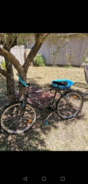 Location de vélos pour adultes et enfants image