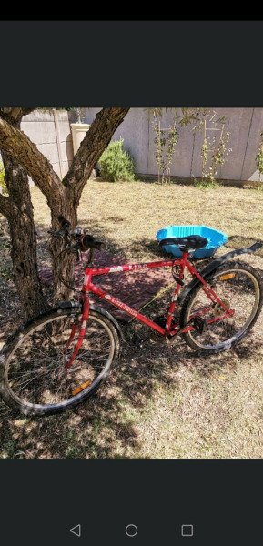 Location de vélos pour adultes et enfants image