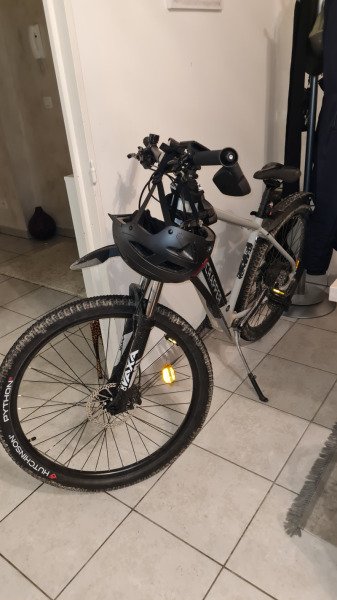 Electric bike rental image