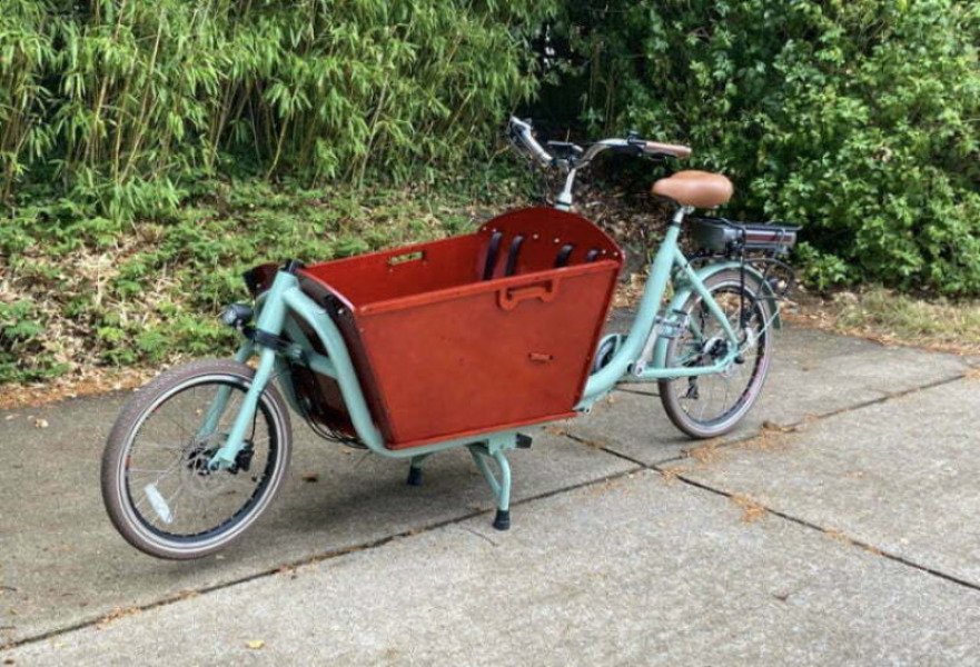 Biporteur électrique image