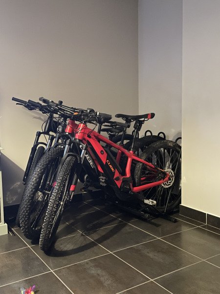 Location VTT électrique tout suspendu et semi-rigide, VTC image