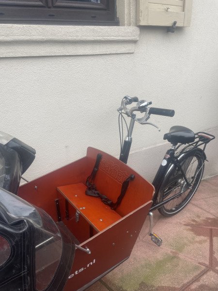 Vélo cargo familial Bakfiets image