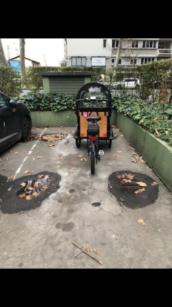 Triporteur pour des sorties en famille, adapté aux animaux ! image